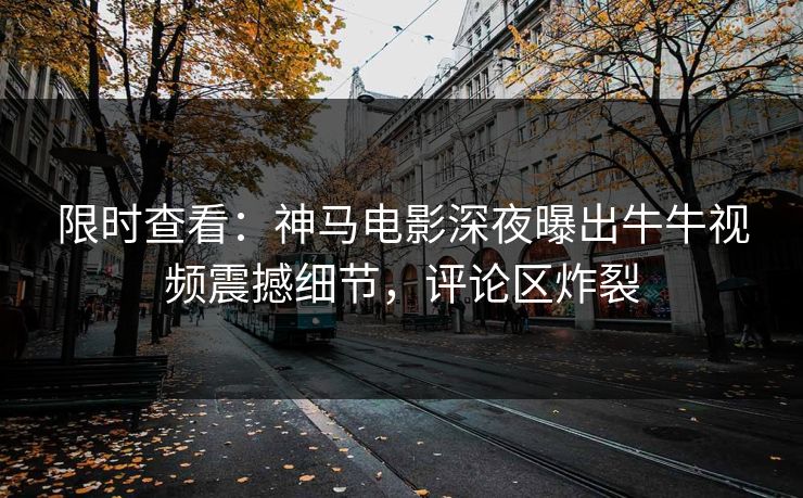 限时查看：神马电影深夜曝出牛牛视频震撼细节，评论区炸裂