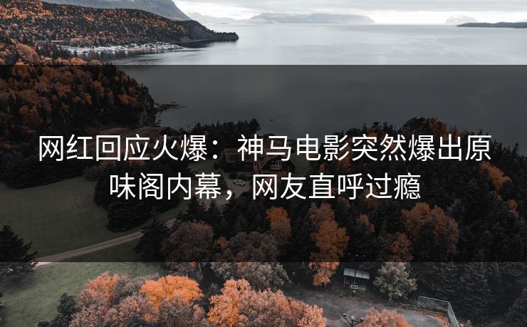 网红回应火爆：神马电影突然爆出原味阁内幕，网友直呼过瘾