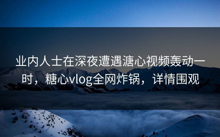 业内人士在深夜遭遇溏心视频轰动一时，糖心vlog全网炸锅，详情围观