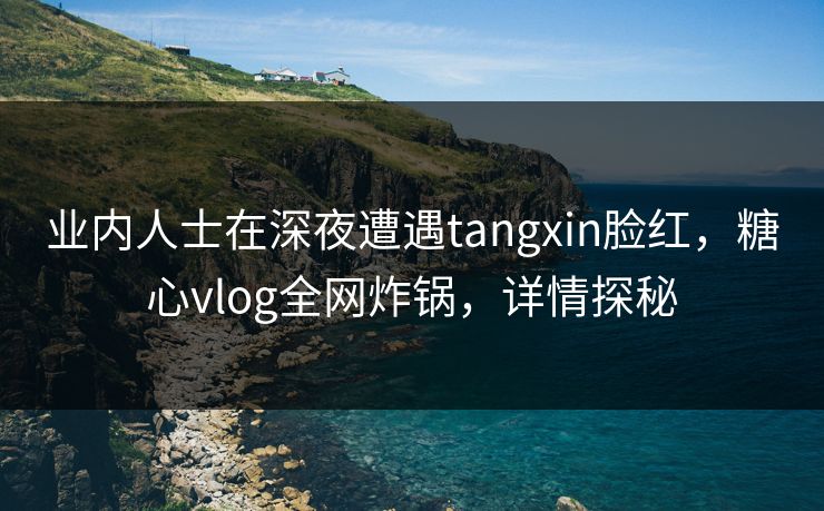 业内人士在深夜遭遇tangxin脸红，糖心vlog全网炸锅，详情探秘