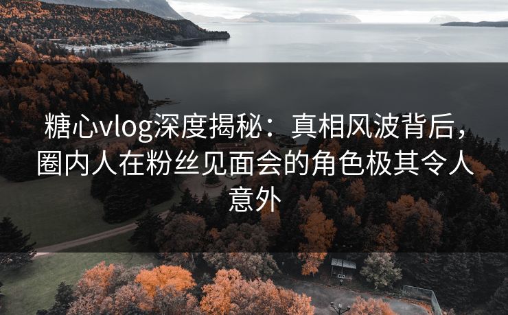 糖心vlog深度揭秘：真相风波背后，圈内人在粉丝见面会的角色极其令人意外