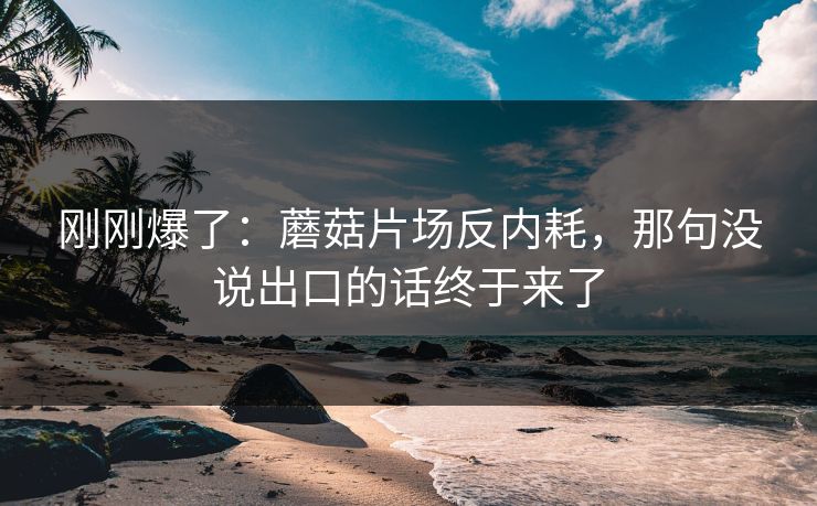 刚刚爆了：蘑菇片场反内耗，那句没说出口的话终于来了
